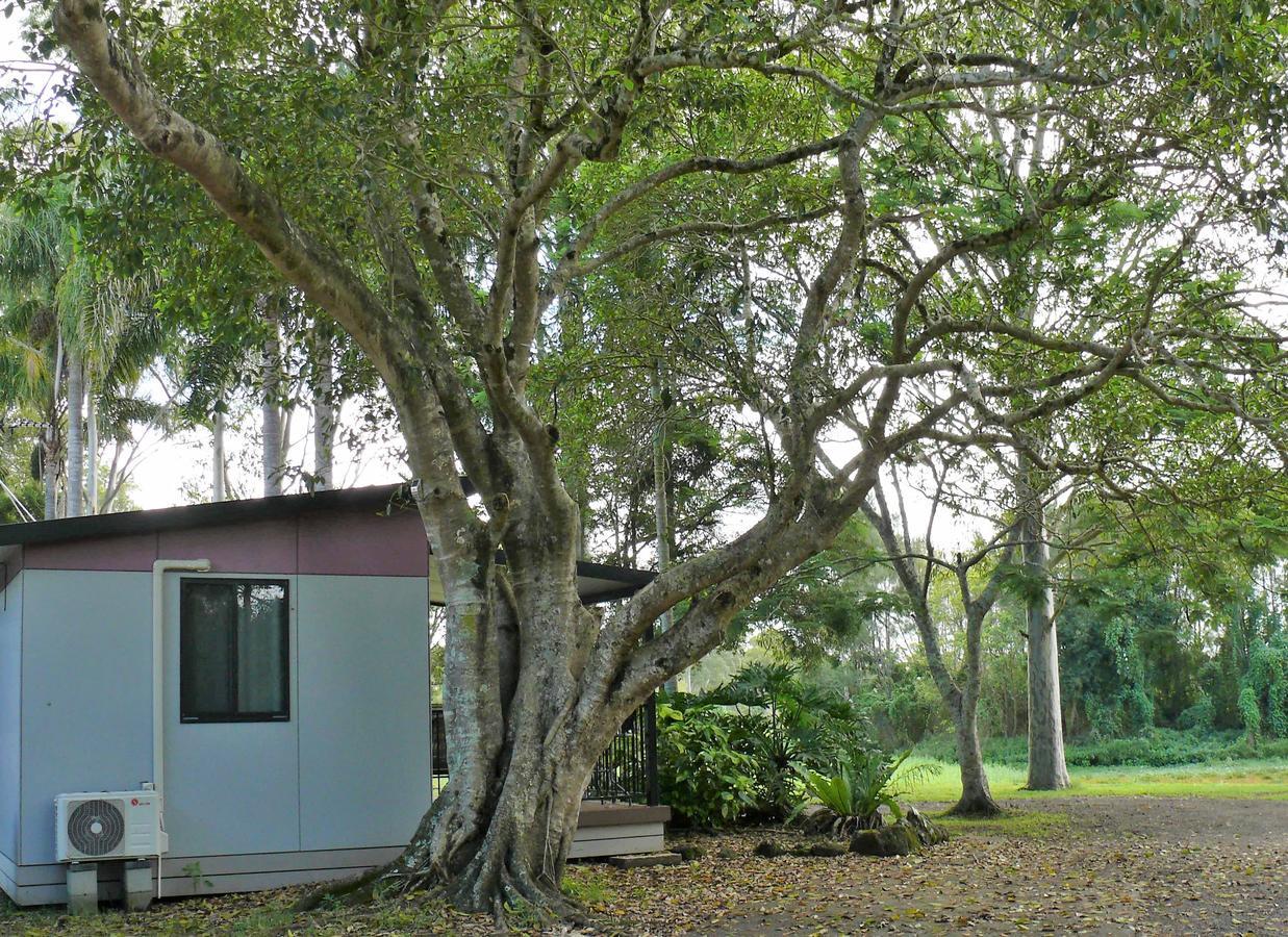 Lismore Lake Holiday Park Exterior foto